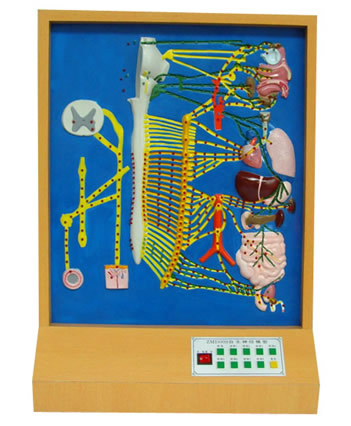 ������(j��ng)늄�(d��ng)ģ��