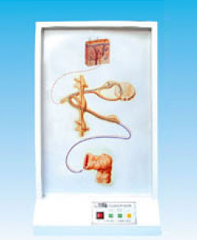 ������(j��ng)�w�S�߄�늄�ģ��