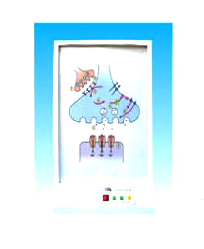 ��(j��ng)ϵ�y(t��ng)�Ļ��Wͨ·늄�ģ��