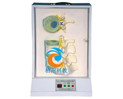 ����׵��׵�g�P�ͼ���(j��ng)늄�ģ��