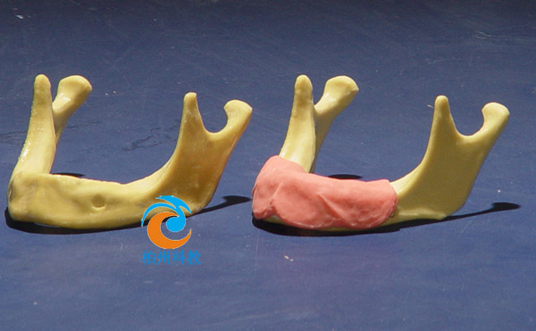 �������M�ǷNֲ����ģ��