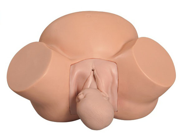 �߼����a(ch��n)Ӗ(x��n)��ģ��