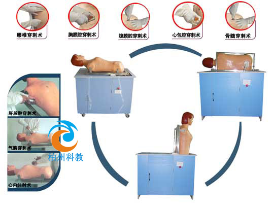 �C�ϴ����g(sh��)Ӗ(x��n)��ģ�M��