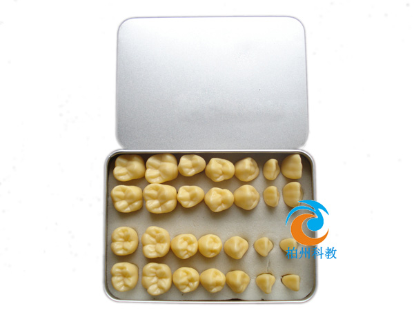 �o���o�����wģ�ͣ�2����