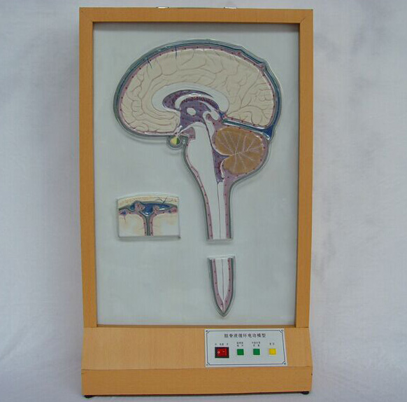 �X��Һѭ�h(hu��n)늄�ģ��