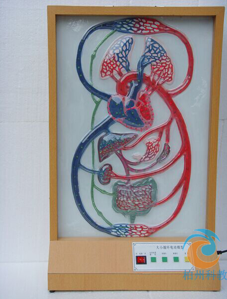 ����Сѭ�h(hu��n)늄�(d��ng)ģ��