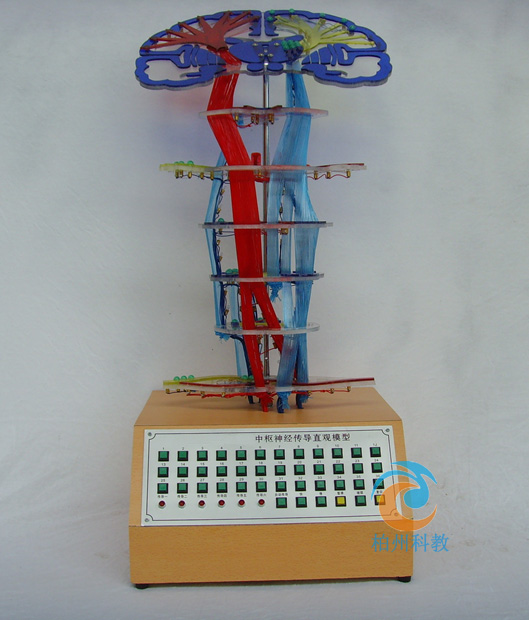 �И���(j��ng)����(d��o)늄�ģ��