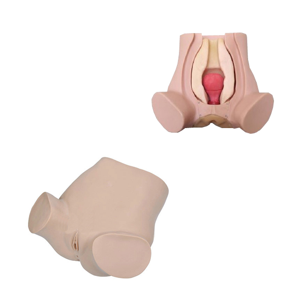 �\���ԹΌm����ģ��