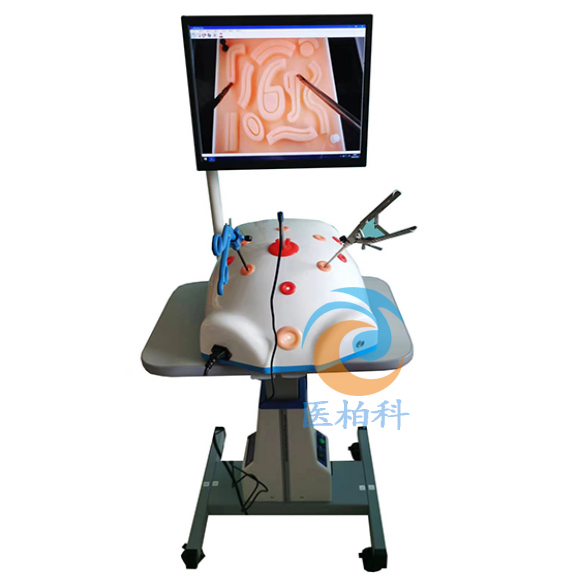 內(nèi)窺鏡模擬訓練系統(tǒng)