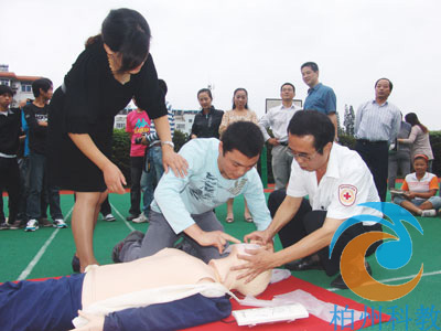 �tʮ�֑�(y��ng)�����o(h��)��Ӗ(x��n)ģ��