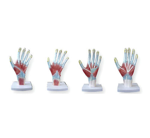 ���ƽ���ģ��