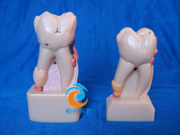 4�����w�C�ϲ���ģ��