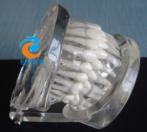 �˜�ˮ������ģ��(���M��)