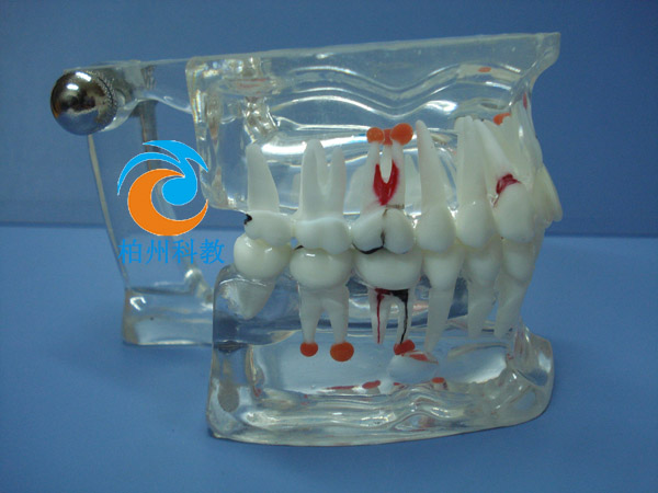 �C�ϲ���ˮ������ģ��(28�w��)