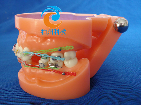 �C�������pɫ����ģ��