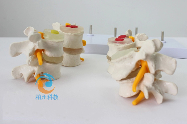 4�A�β��B(t��i)��׵���^ģ��