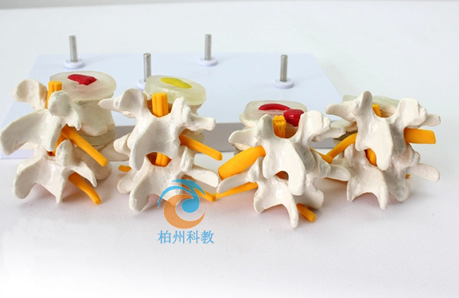 4�A�β��B(t��i)��׵���^ģ��