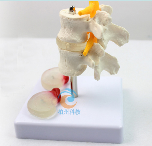 2��(ji��)��׵��2����׃׵�g�Pģ��