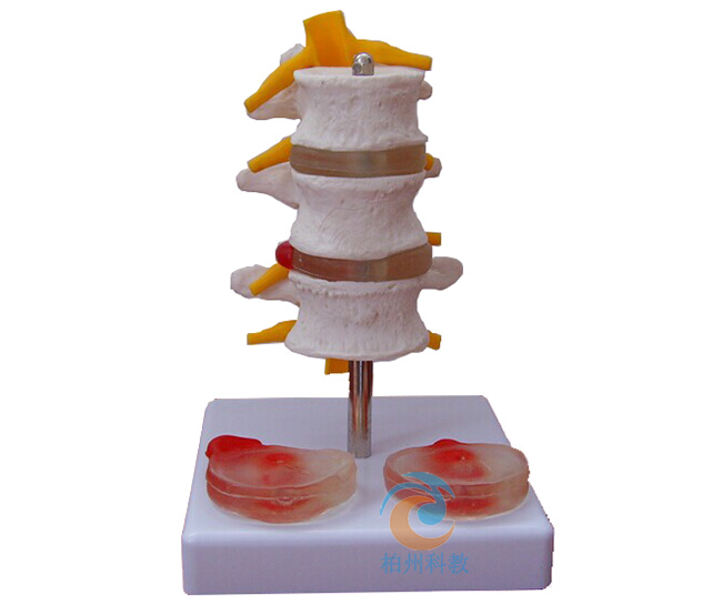 3��(ji��)��׵��2��(g��)��׃׵�g�Pģ��