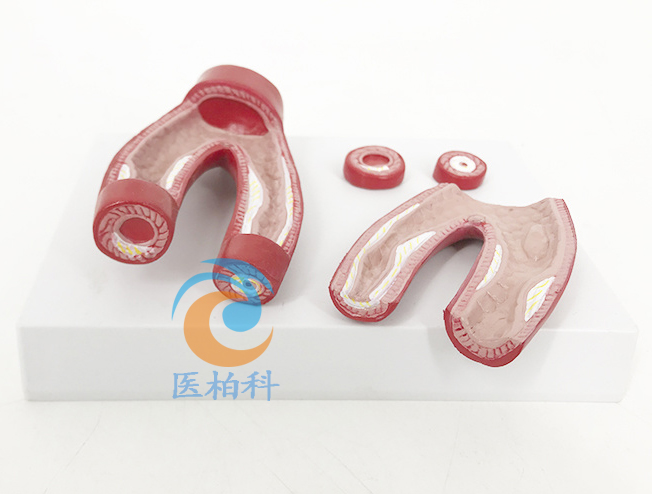 ���}Ӳ��ģ��