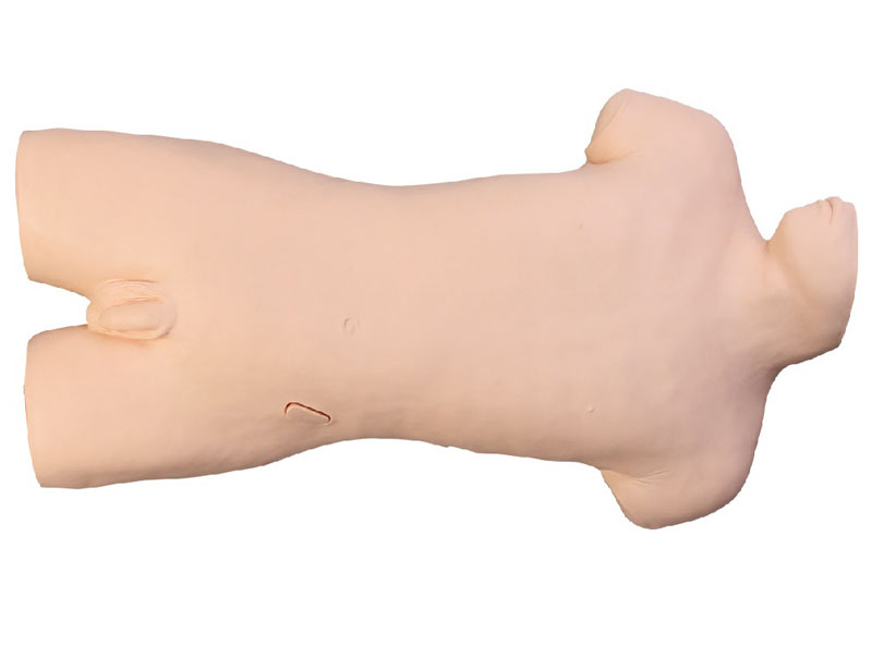 ��ǻ������������Ӗ��ģ��